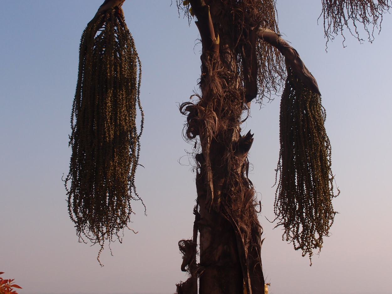 2018-01-22 14 Uhr - Kopan Monastary (Foto) 